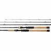 Daiwa 19 Tatula Rod