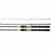 Daiwa 20 Aird-X Rod