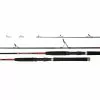 Daiwa 21 Beefstick Z Spinning Rod