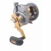Daiwa Saltist Levelwind Overhead Reel