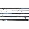 Daiwa Saltist X Rod