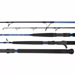 Daiwa Saltist X Rod