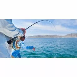 Sage Thermo Fly Reel -Fishing Rods Shop Sage Thermo Reel Sample