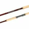 Shimano 21 Raider Rod