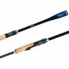 Shimano 21 TCurve Premium Rod