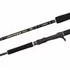 Shimano Anthem SW Rod