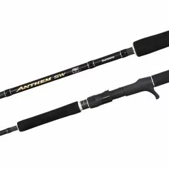Shimano Anthem SW Rod