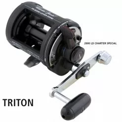 Shimano Charter Special Overhead Reel