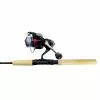Shimano Raider Junior Combo