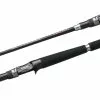 Shimano Salty Advance Rod