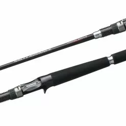 Shimano Salty Advance Rod